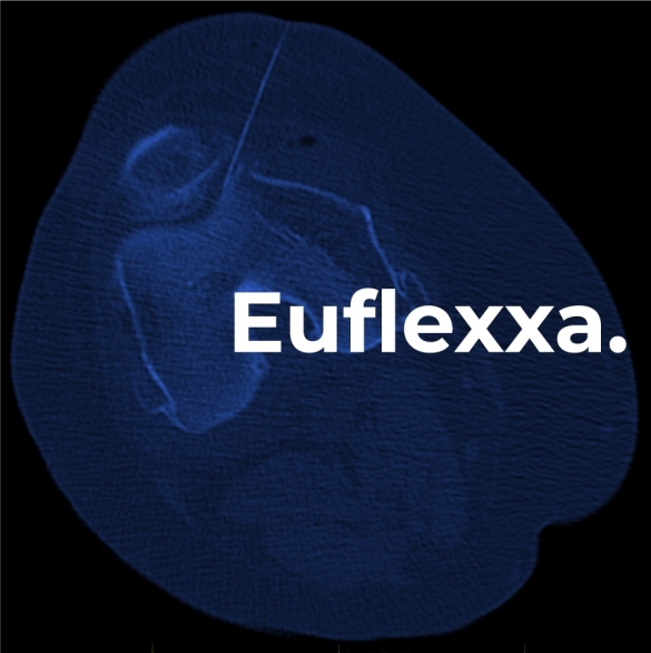 euflexxa logo